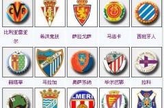 东契奇欧洲杯大放异彩，成得分王助攻王焦点人物