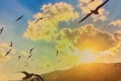 西甲焦点战：巴列卡诺VS塞维利亚实力对决及预测